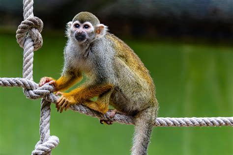 Karlee Grey Photos, Download The BEST Free Karlee Grey Stock Photos