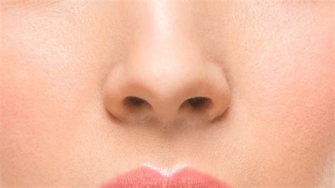 Stop plucking nose hairs! Dr. Oz weighs in on health habits - TODAY.com