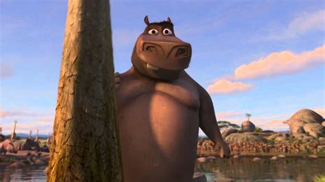 Madagascar Urso Na Moto - Madagascar Moto Moto Wallpapers - Wallpaper Cave