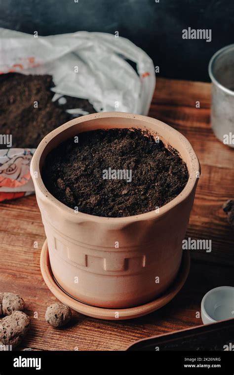 clay pot full  soil  sowed seeds  thyme stock photo alamy