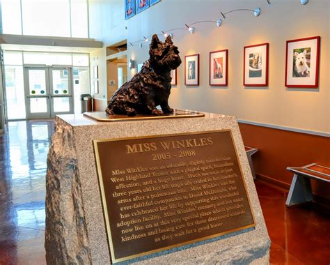 Miss Winkles is Turning 10 | Clovis Roundup