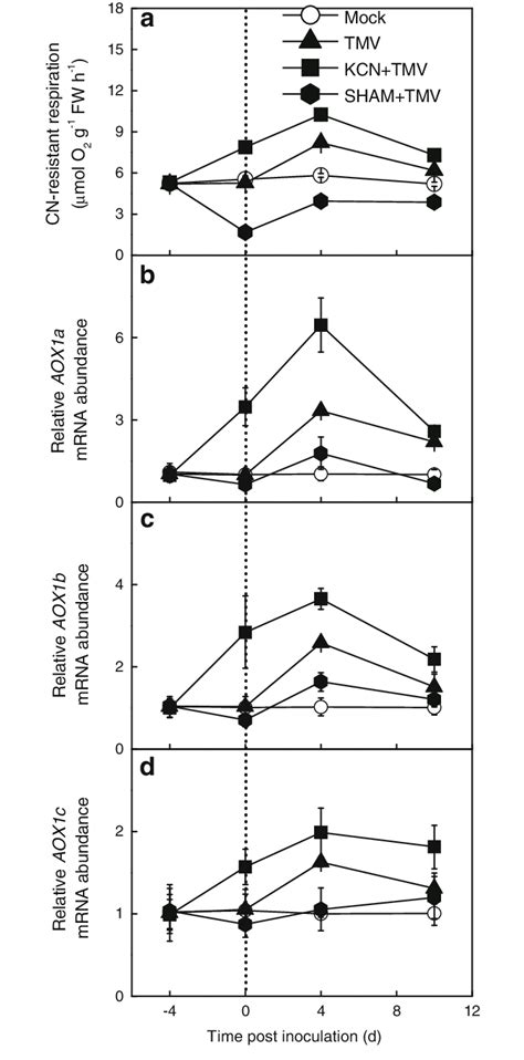 leaf cyanide cn resistant respiration