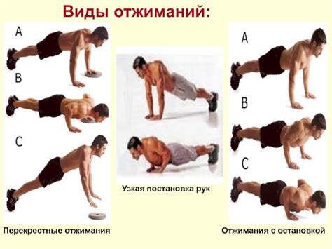 Отжимания презентация, доклад