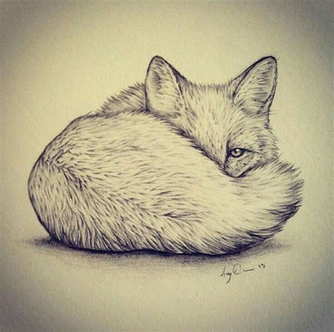 Cute Fox Drawing, Cute Drawings Of Love, Fox Pencil Drawing, Wings Drawing, Drawing Drawing ...