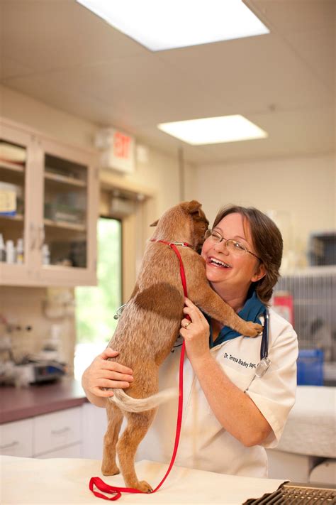 Veterinarian Near My House at Darren Henderson blog