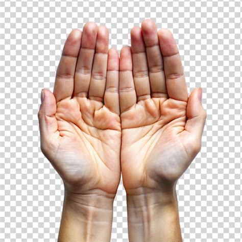 page  white hand front view png psd high quality  psd templates