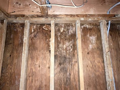 The Hidden Secrets of Older Homes - Model Remodel