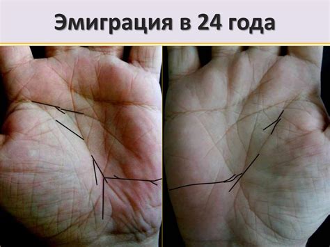Хиромантия. Датировка по фалангам - презентация онлайн