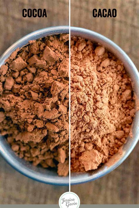 Easy Baking Cocoa Vs Cocoa Powder to Make at Home – Easy Recipes To
