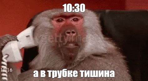 Мем: "10:30 а в трубке тишина" - Все шаблоны - Meme-arsenal.com