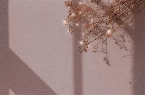 pinkoi