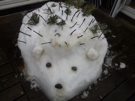 Snow Hedgehog :) · A Garden Project / Plant · Creation by Hdoddles