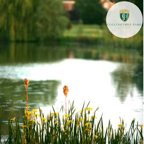 Collingtree Park Golf Club - Wedding Venue in Northampton