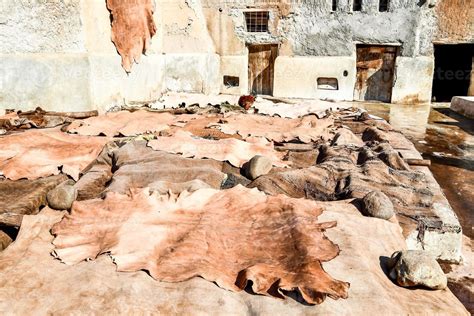 drying  leather  stock photo  vecteezy