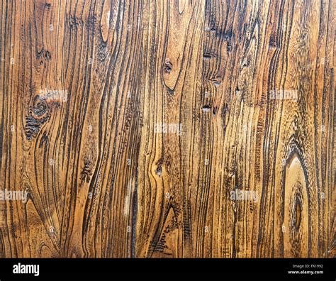 tree wood textures Stock Photo - Alamy