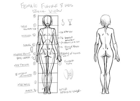 Female Figure back view tutorial by THEJETTYJETSHOW on DeviantArt ...