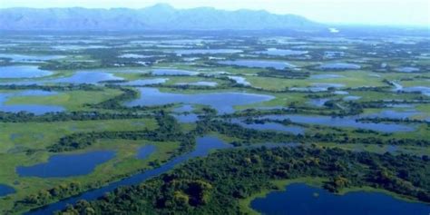 Qual É O Clima Do Pantanal - Ecossistema Brasileiro – Pantanal: Clima, Chuvas, Vegetação e Ameaças ...