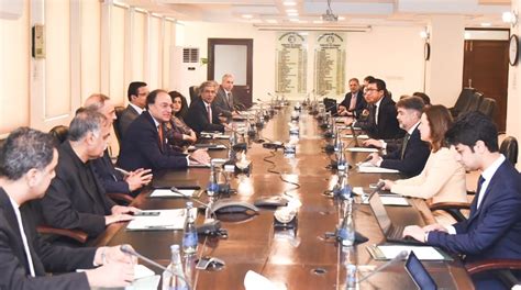 imf mission chief meets finance minister