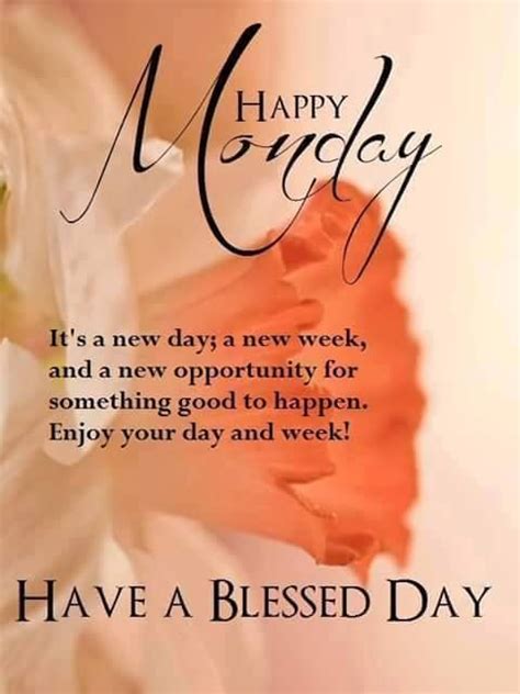 It’s a new day a new week - Desi Comments