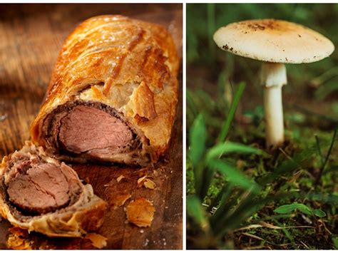 Woman charged with murder after poisonous-mushroom meal left 3 of her ...