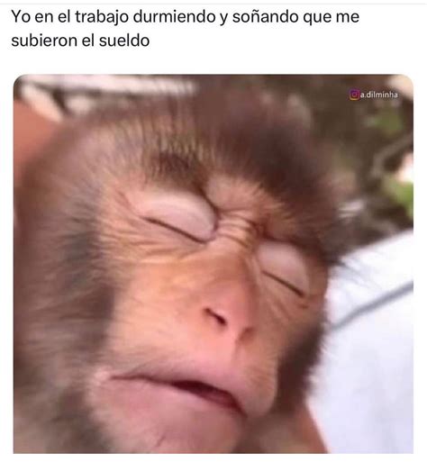 Yo en el trabajo durmiendo y soñando que me subieron el sueldo. - Memes