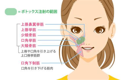 ボトックス（ガミースマイル）｜【公式】オザキクリニック（新宿・目黒祐天寺・羽村）