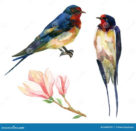 Swallows And Magnolia Blossoms. Japanese. Late Meiji Era. Color