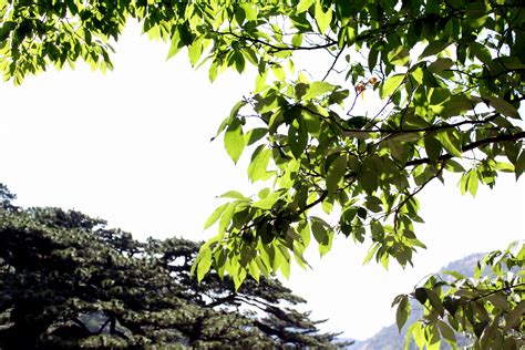 Rex Campbell – NATUROPATHIC PRACTITIONER