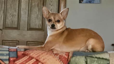 Fundraiser by Robert Shepard : Support Needed for Unexpected Legal Battle