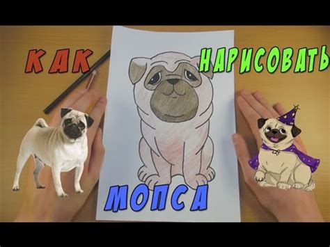 Как Нарисовать Мопса | Рисуем Собаку | Уроки Рисования - YouTube