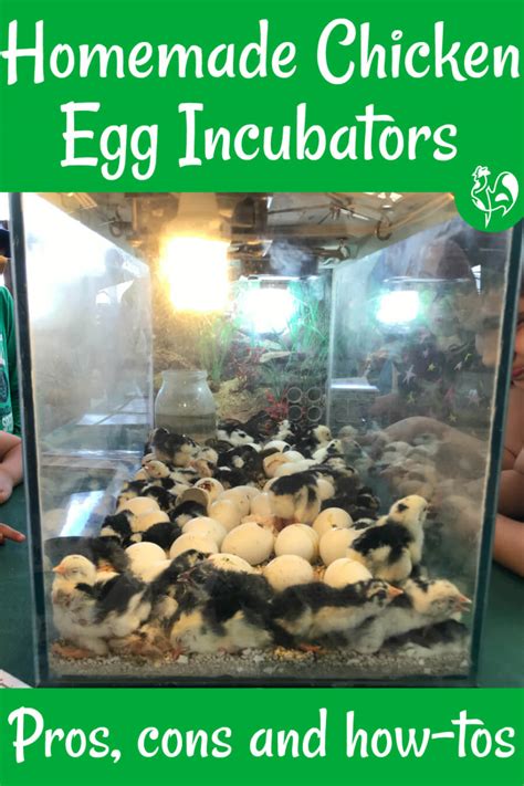 how to make a homemade incubator