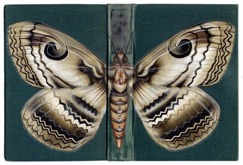 Насекомые на обложках книг