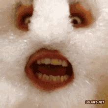 funny gif images