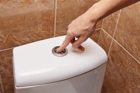 9 Types of Toilet Flush Systems (Pros and Cons) - Sensible Digs