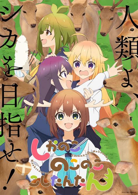 My Deer Friend Nokotan - Wiki Anime - AnimOtaku