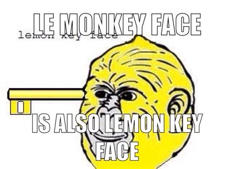 le monkey face has found you too