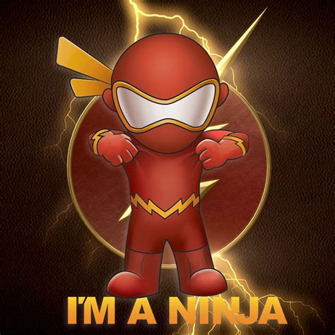 The Flash x I'M A NINJA - I'M A NINJA