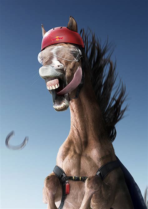jeronimo  behance