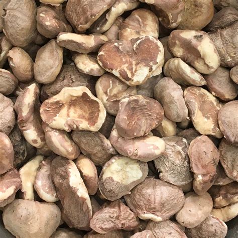 Dried Water Chestnuts (Singhara Khushk): Forms, Benefits, and Side