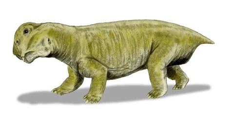fast die young  secret  surviving  mass extinction
