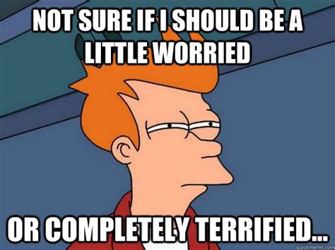 Not sure if I should be a little worried Or completely terrified... - Futurama Fry - quickmeme