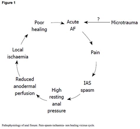 how long do anal fissures take to heal