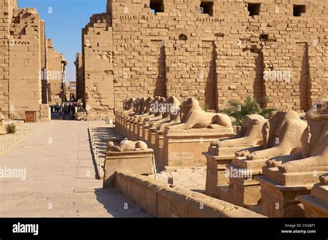 great temple  amun karnak