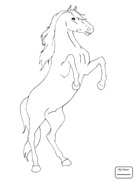 Bucking Horse Drawing at GetDrawings | Free download