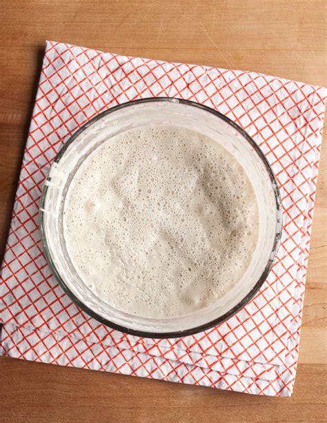 how to make a sourdough starter from scratch 1