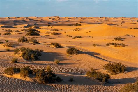 discover doha  awesome