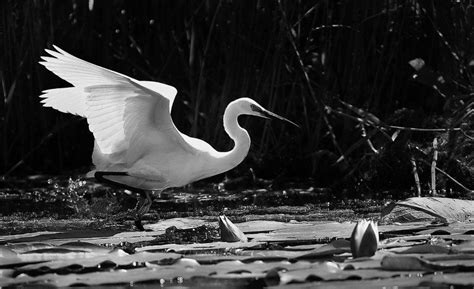 Одесская школа фотографии (7) | Одесская школа фотографии | Flickr