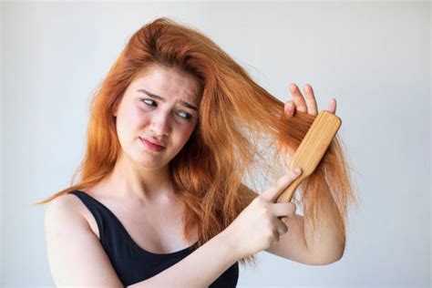 Fotos De Cabelos Quebrados - Cabelo Quebrado Banco de Imagens e Fotos de Stock - iStock