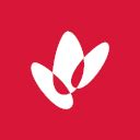 Woodside Energy Stock Dividend Date & History