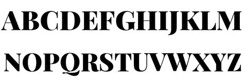 Playfair Display Black Font - FFonts.net